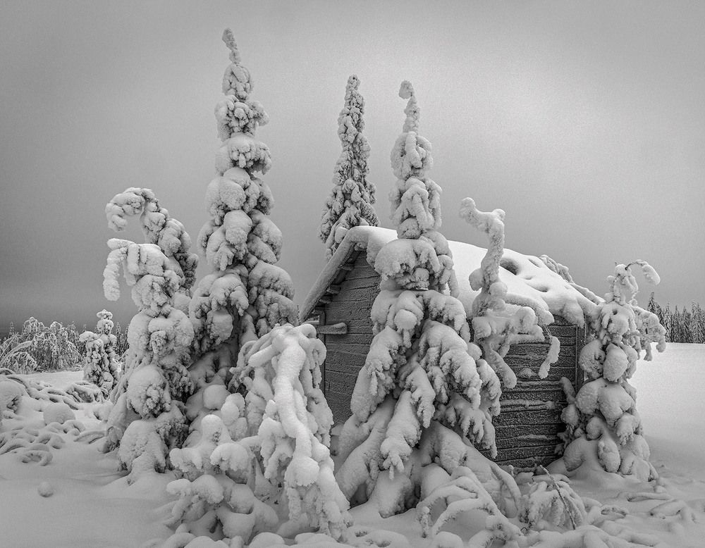 Избушка Деда Мороза.