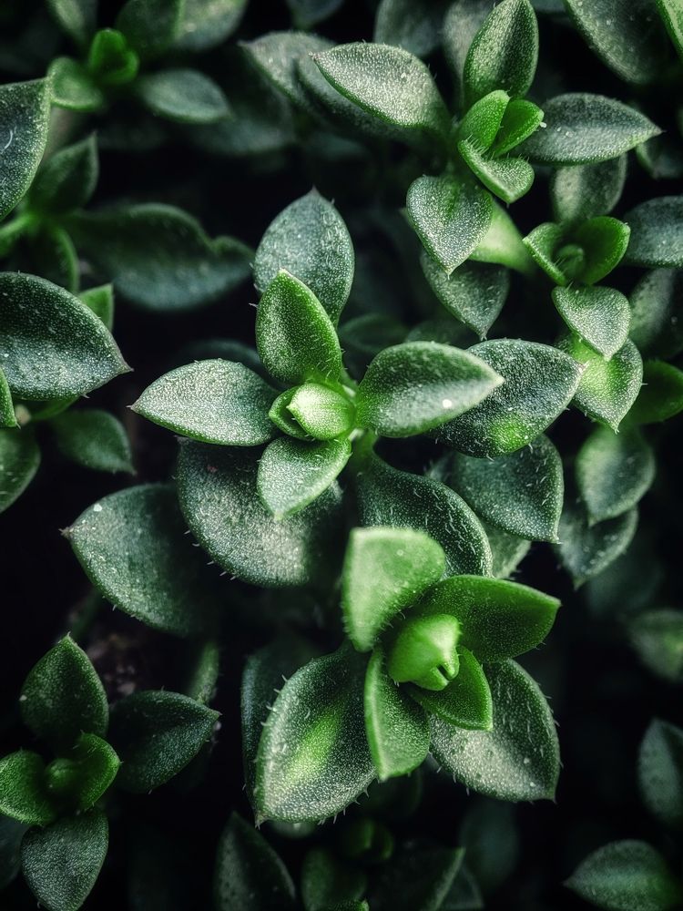 Photograph by Оксана