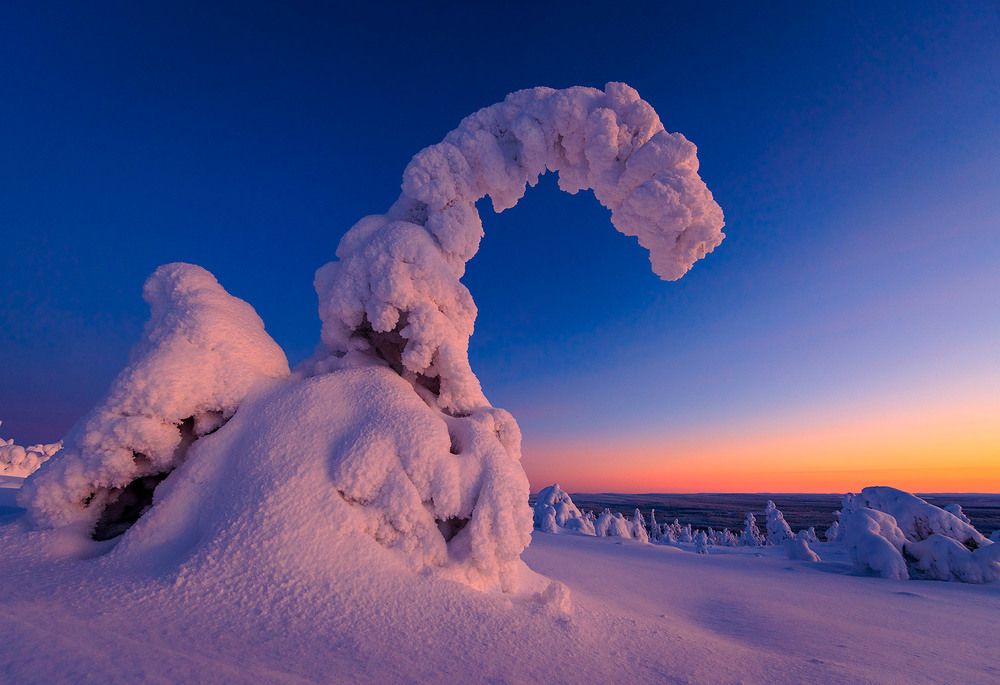 Дракон в зимней спячке.