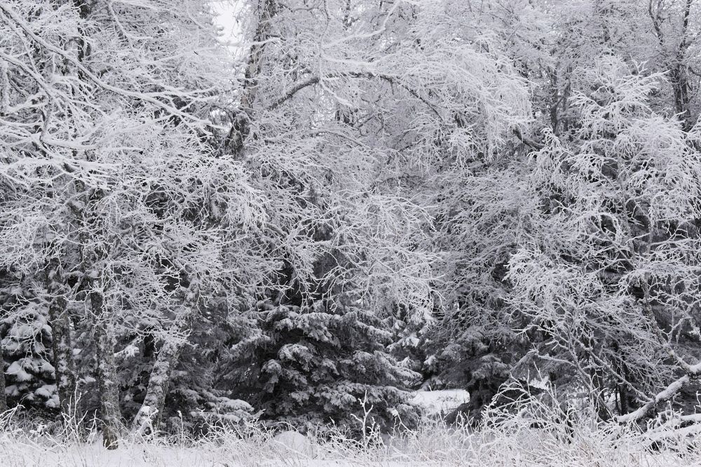 Photograph by Нина