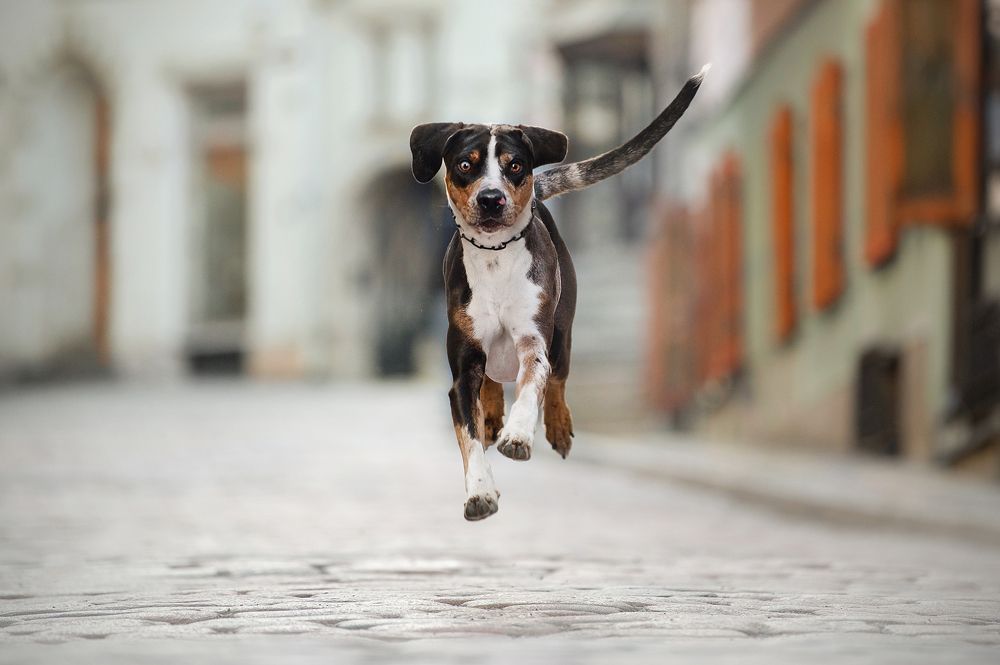 Photograph by Karina Saarestik