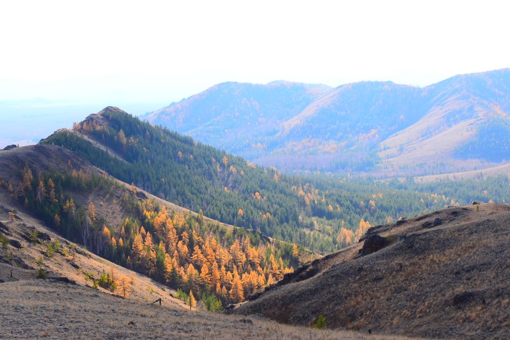 Photograph by Нина