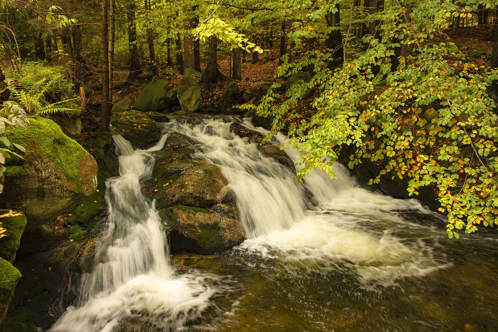 Spring river current