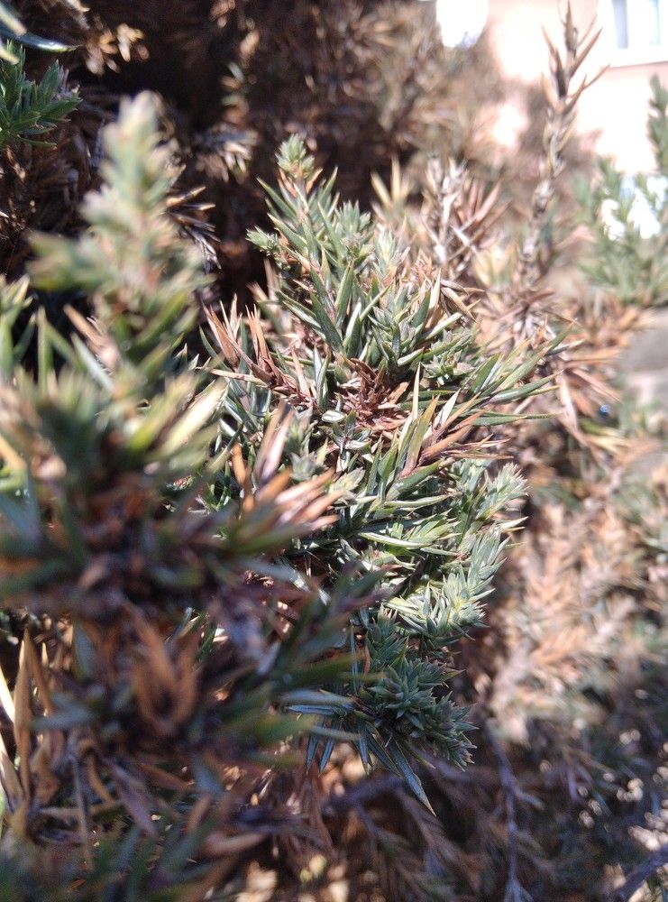 Фотография автора Анна