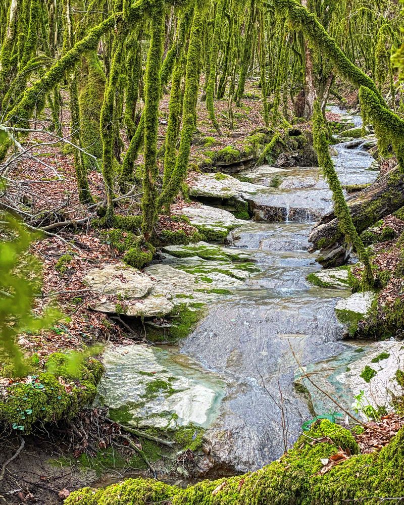 Photograph by Важинская Татьяна