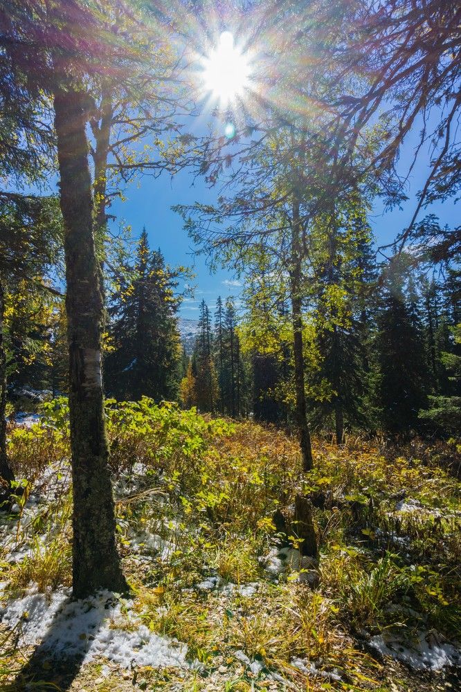 Сентябрьский снег