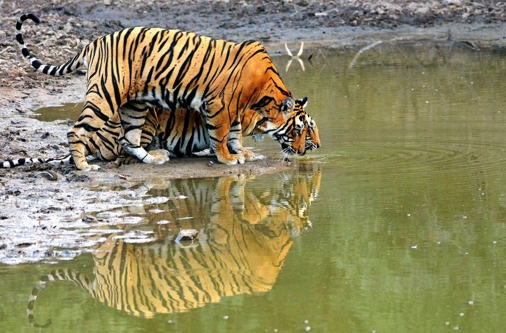 Photograph by Nirmalya Chakraborty