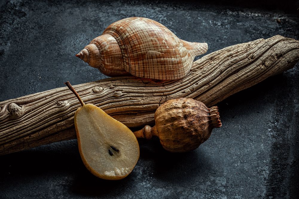 Photograph by Stas Che