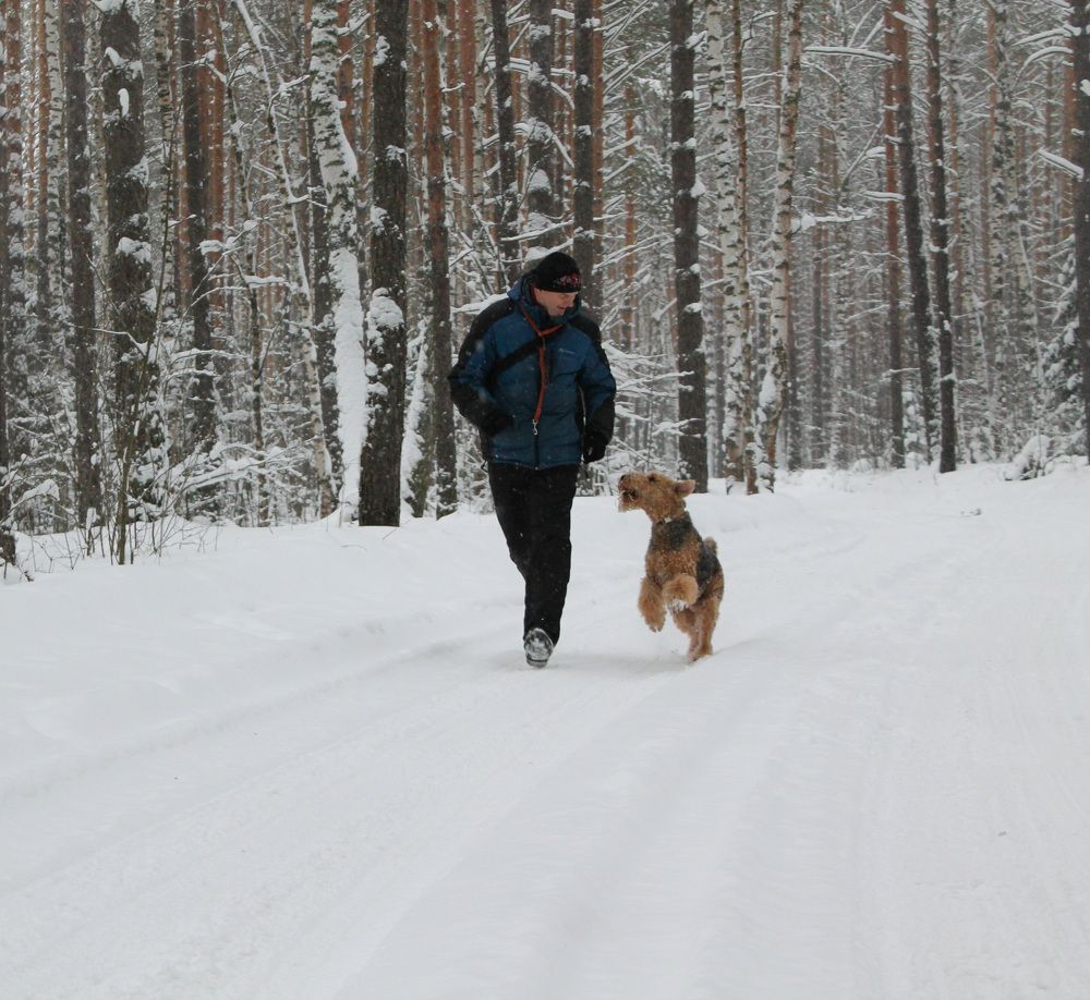 Зимняя прогулка