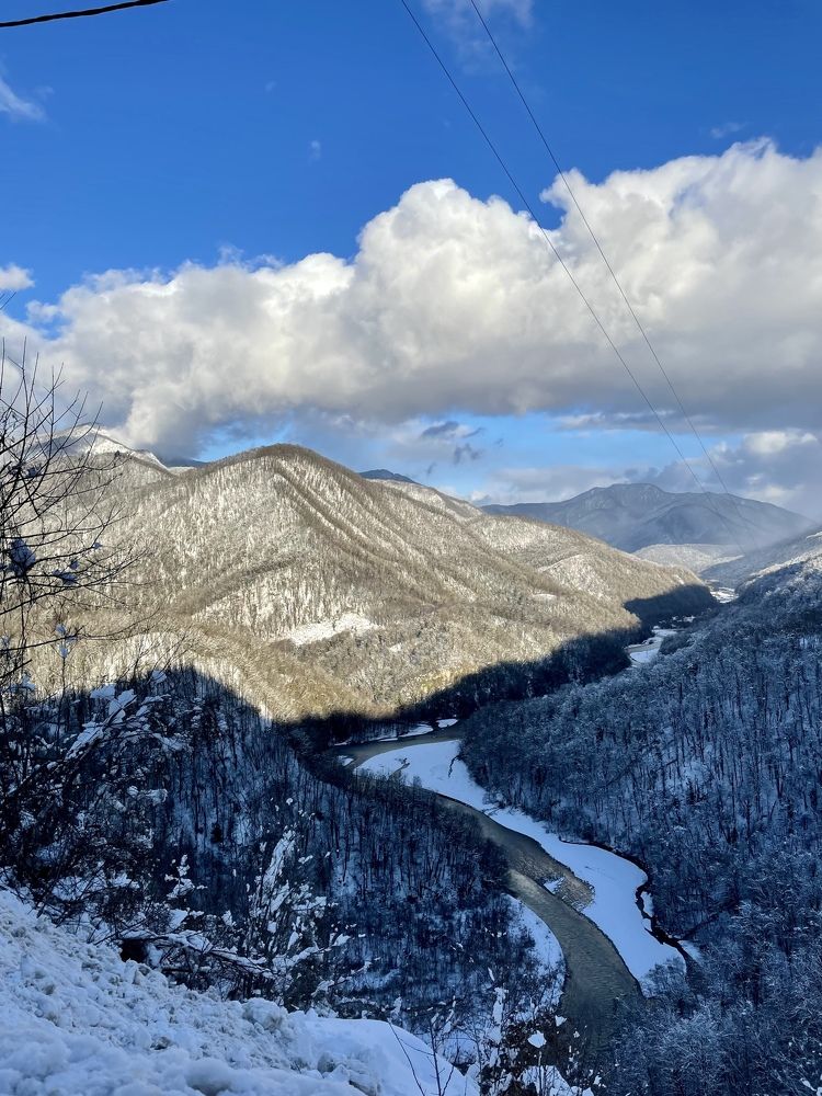 Photograph by Елена Горбунова