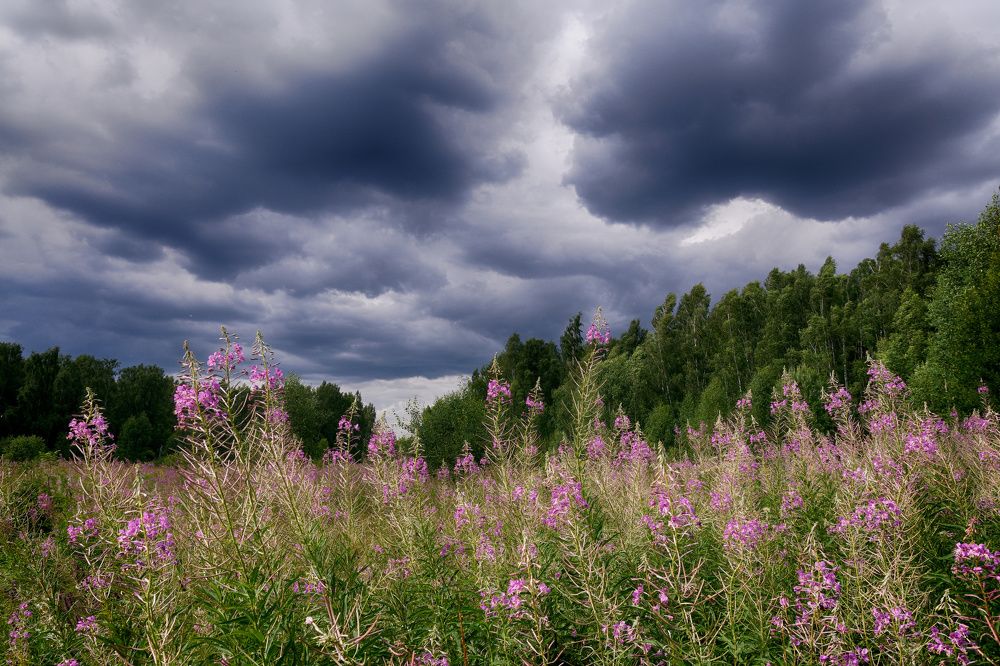 Photograph by Пётр Калачев