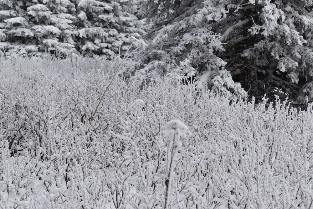 Photograph by Нина