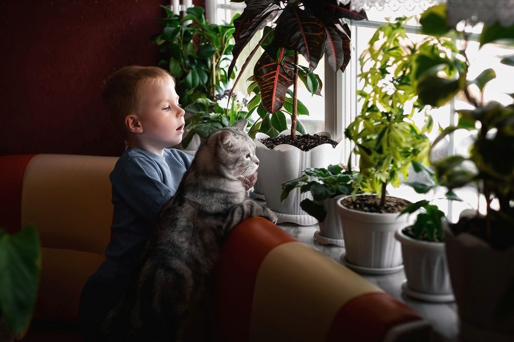 Photograph by Алёна Шаталова