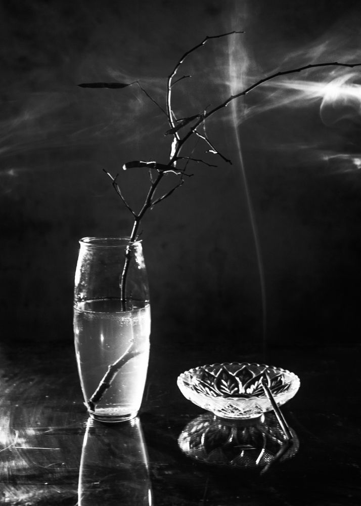 Этюд в чёрно-белых тонах