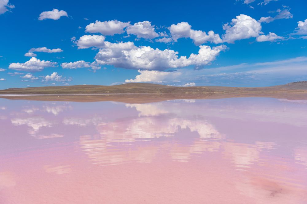 Photograph by Галина Еремеева