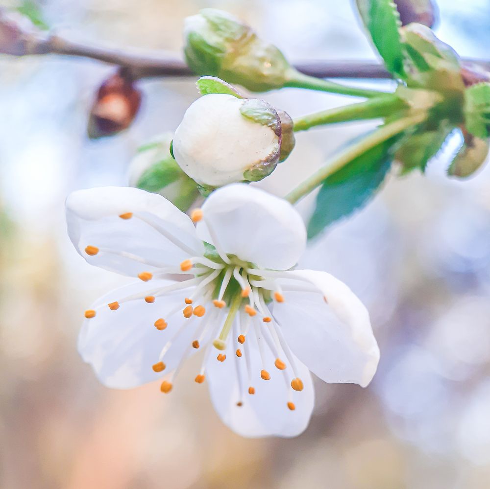 Photograph by Юлия Быкова