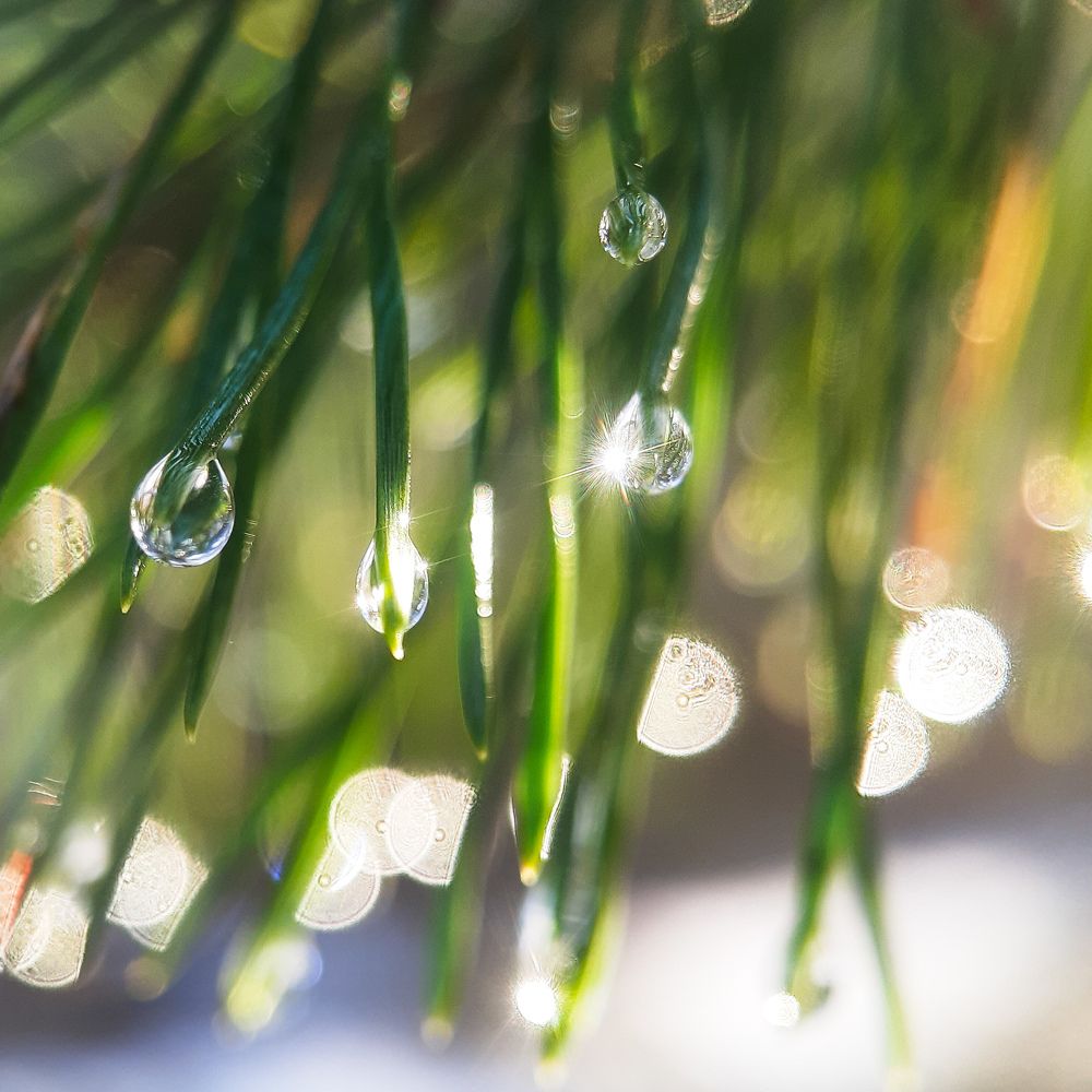 Photograph by Юлия Быкова