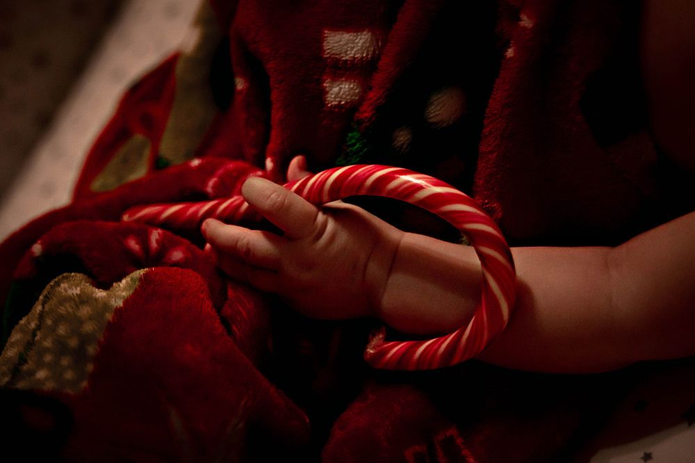 Photograph by Анастасия Большуткина