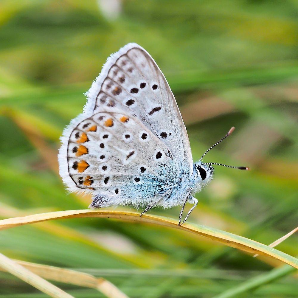 Photograph by Yana Marinova