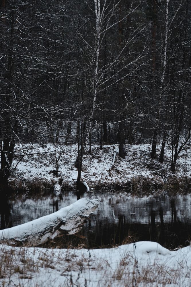 Photograph by Артем Макаров
