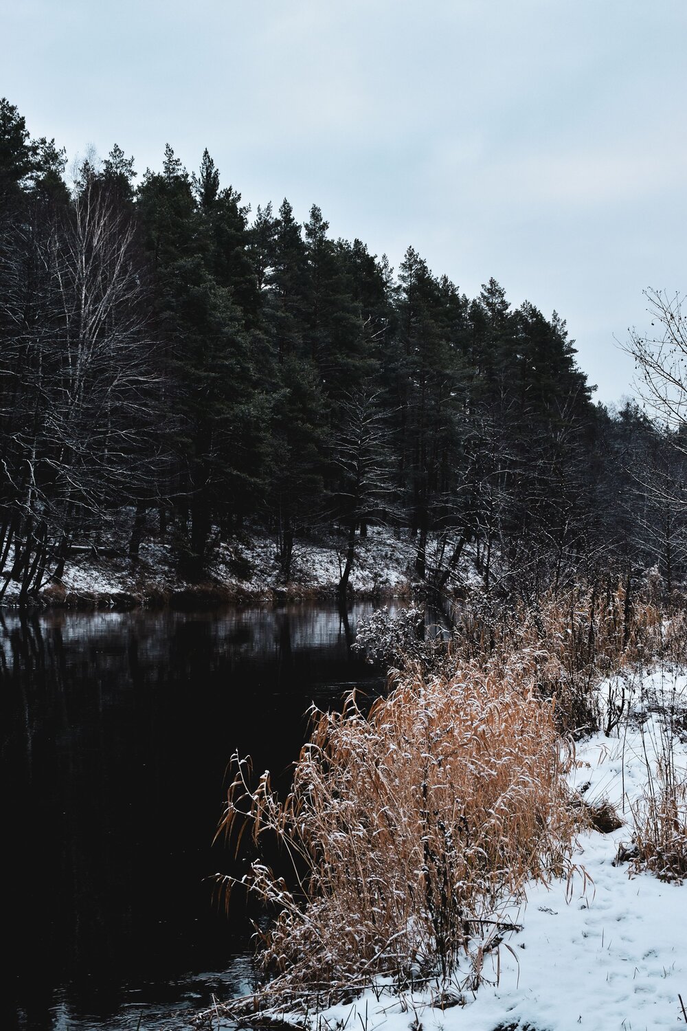 Photo #7024898