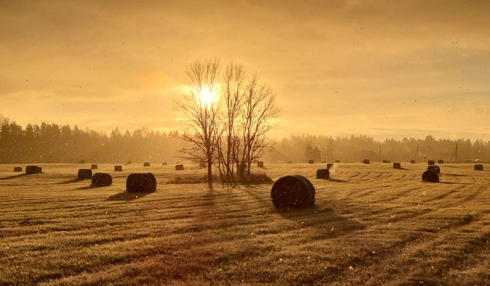 Photograph by Alla Matrosova