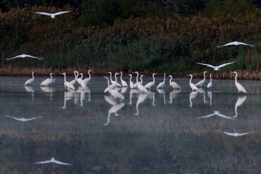 Photograph by Владимир Шебаршенко