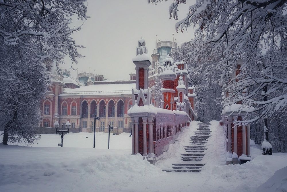 Photograph by Natali Bol