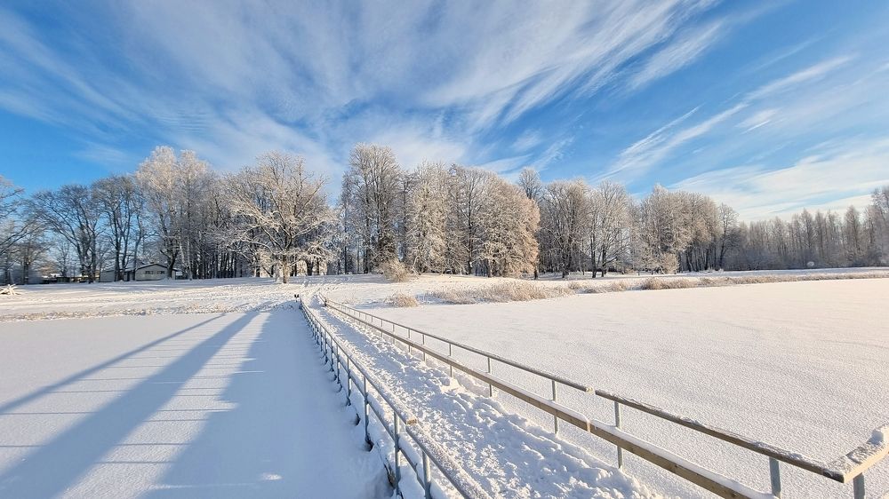 Photograph by Alla Matrosova