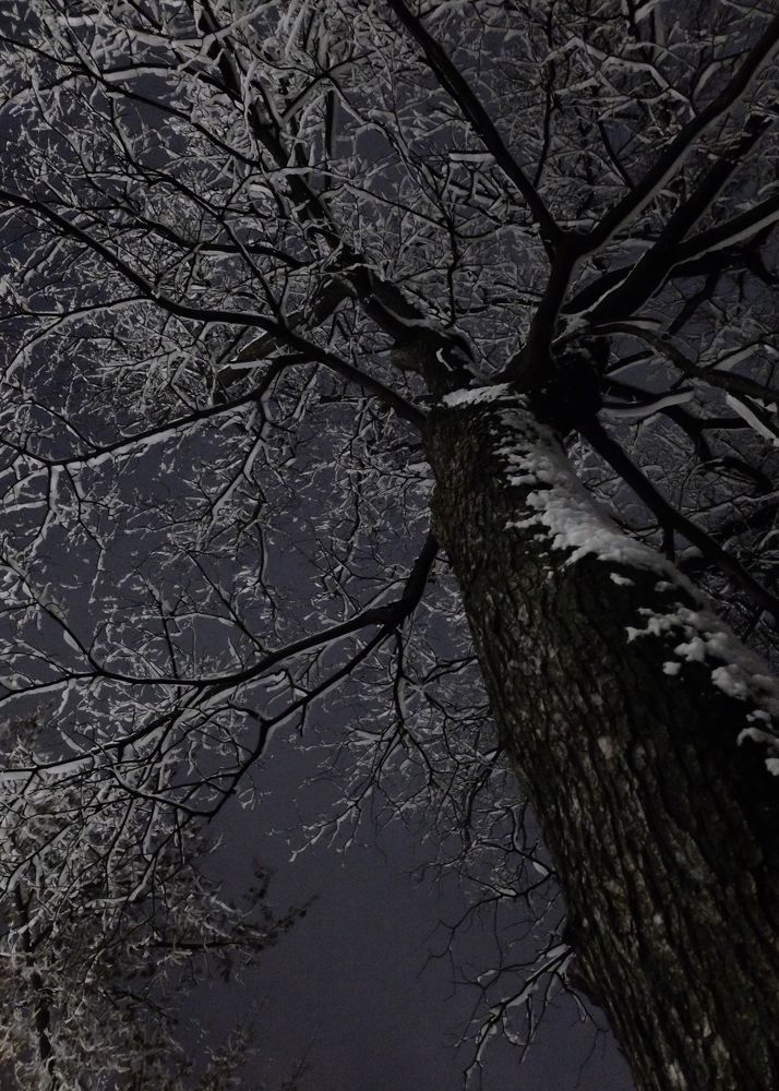 Фотография автора владимир шаронов