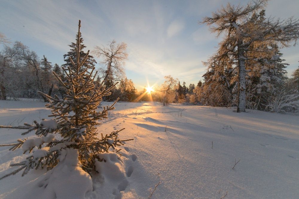 Photograph by Константин Степанов