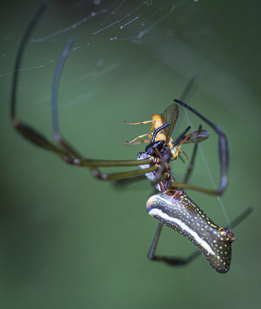 Photograph by Jorge Ivan Vasquez