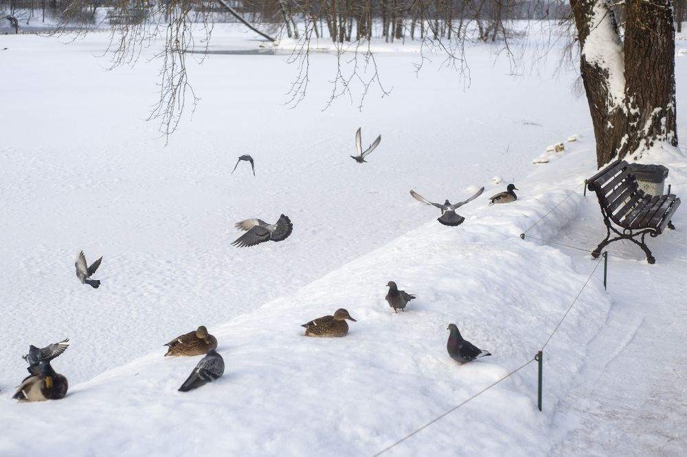 Photograph by Ерохина Светлана Юрьевна