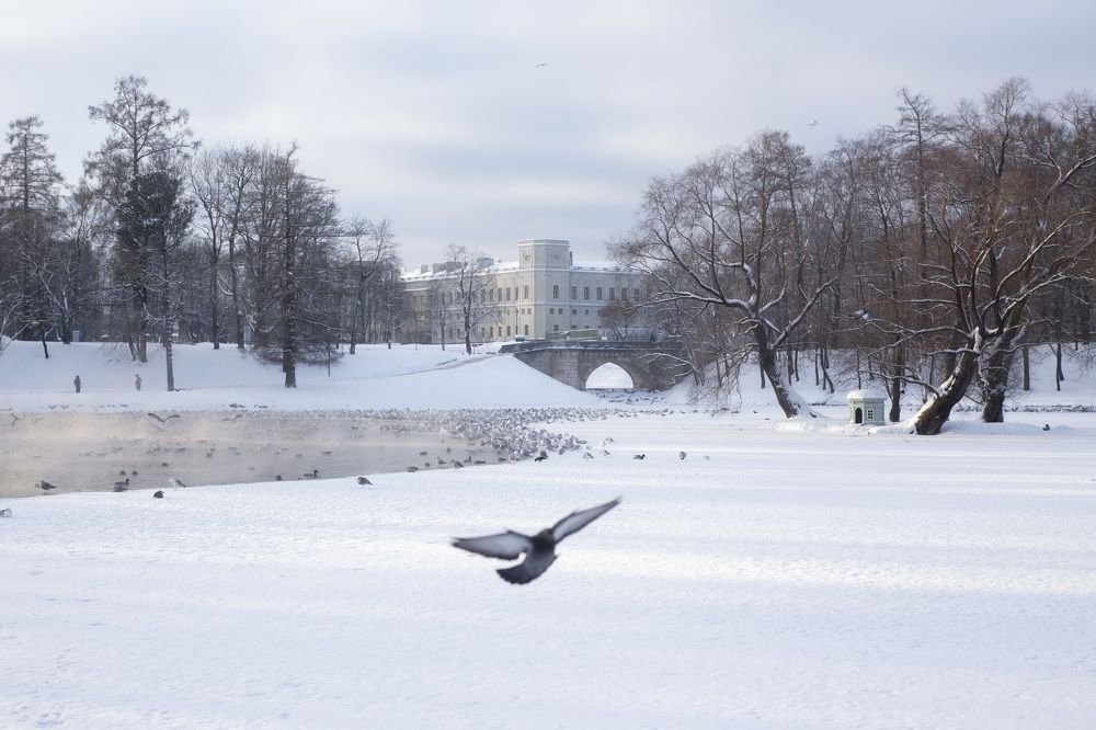 Photograph by Ерохина Светлана Юрьевна
