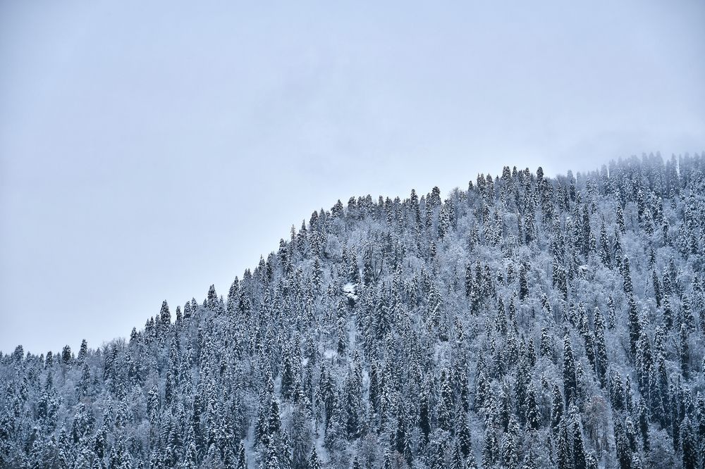 Photograph by Алена Ким