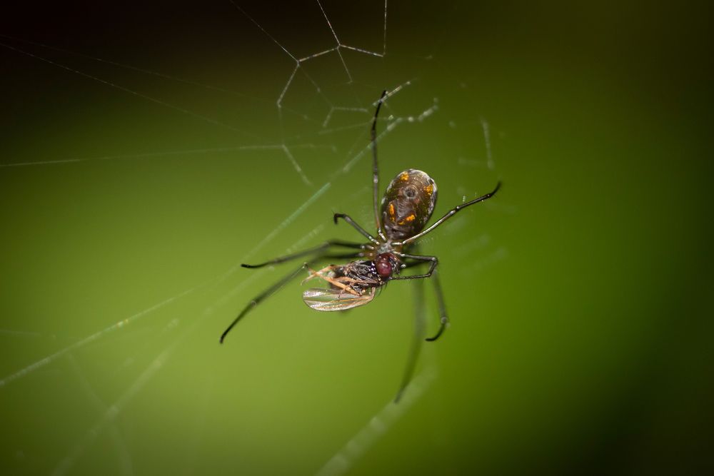 Photograph by Jorge Ivan Vasquez