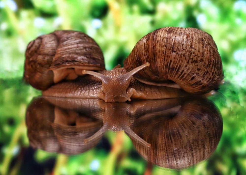 Photograph by Olga Asson