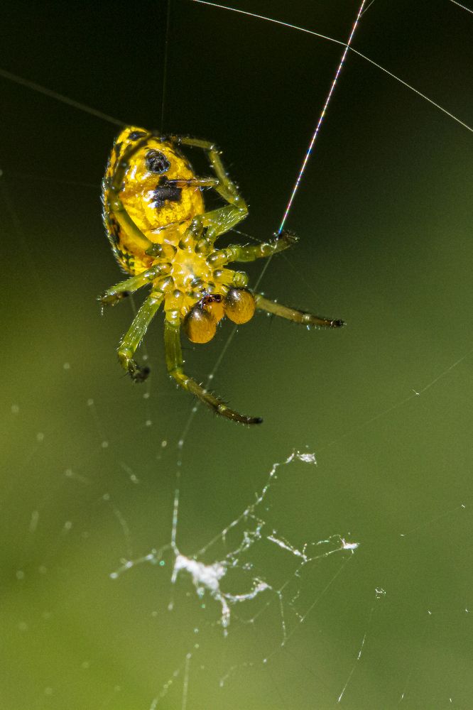 Photograph by Jorge Ivan Vasquez