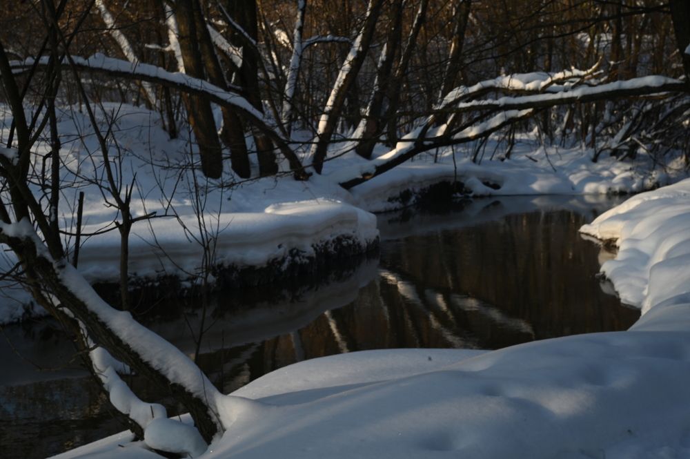 Photograph by Parshintseva Valeria