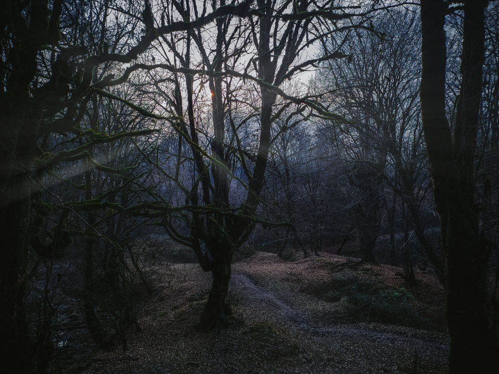 Photograph by Abdollah Fallah