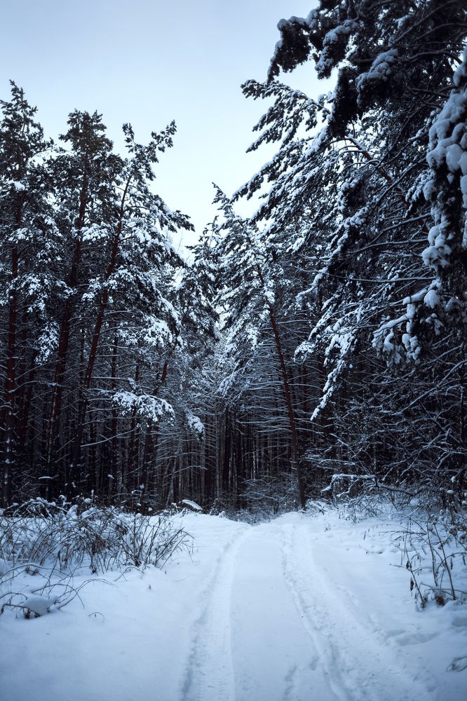 Photograph by Роман Никифоров