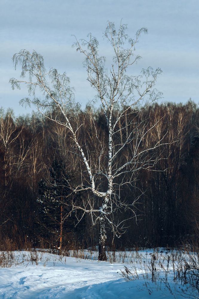 Photograph by Роман Никифоров