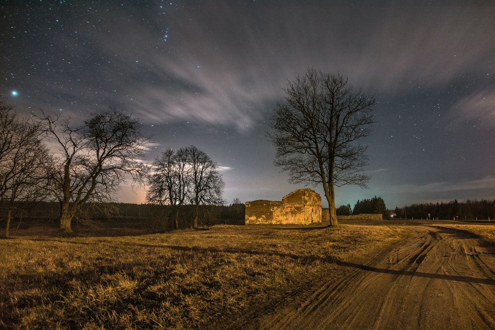 Photograph by Alla Matrosova