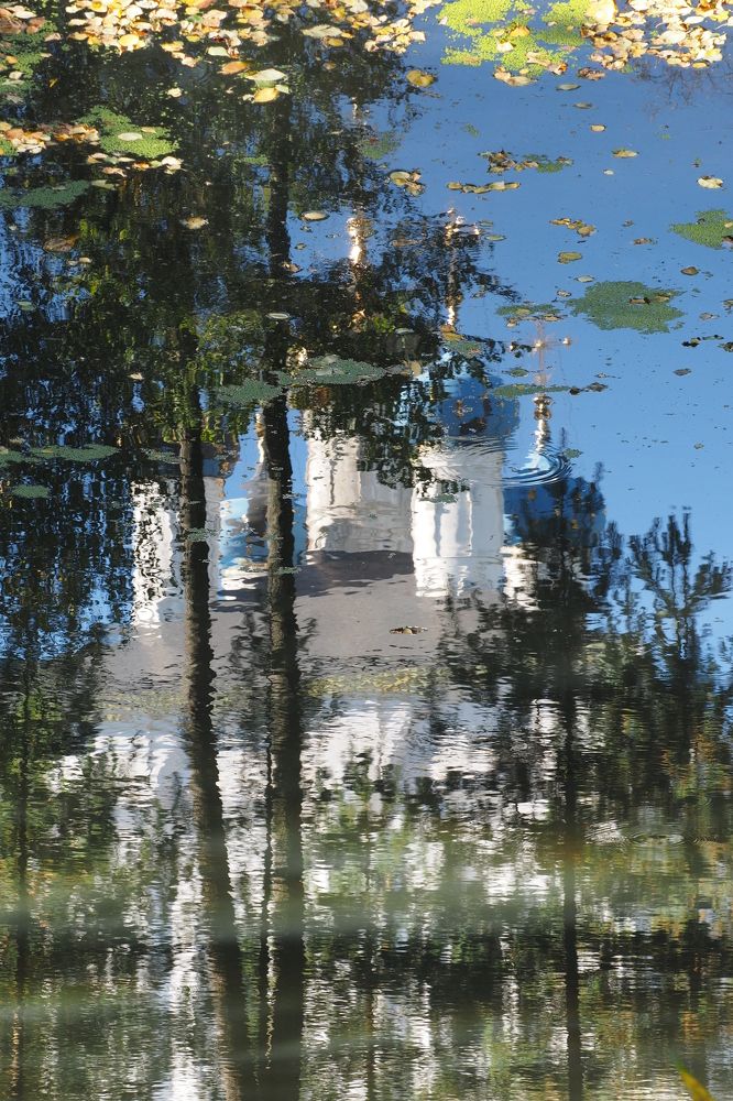 Фотография автора Дмитрий Линников