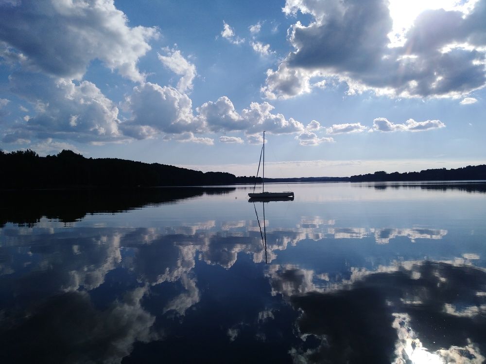Photo #7025415