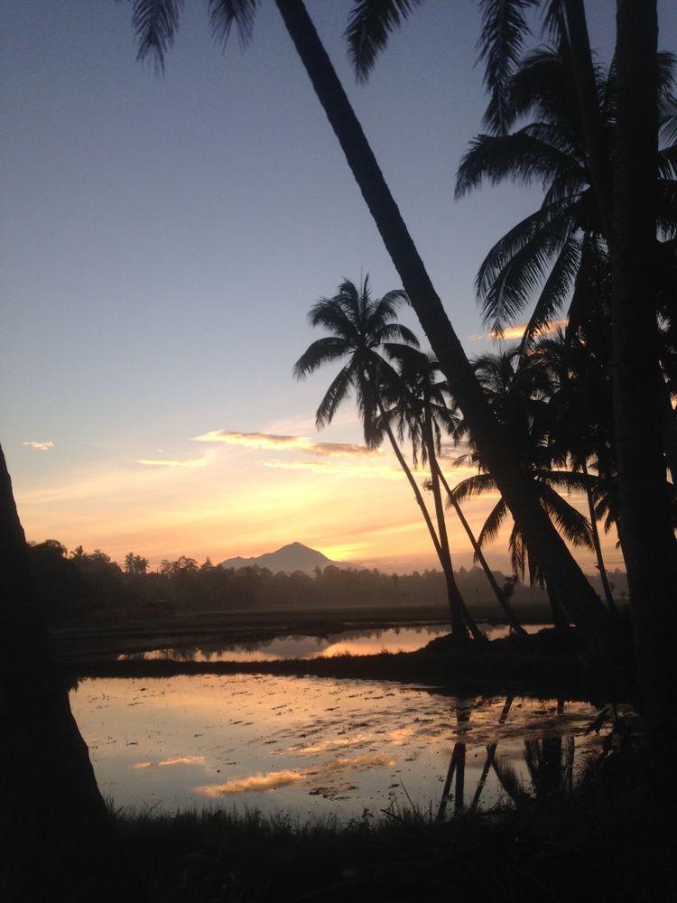 Sunrise for New Hope