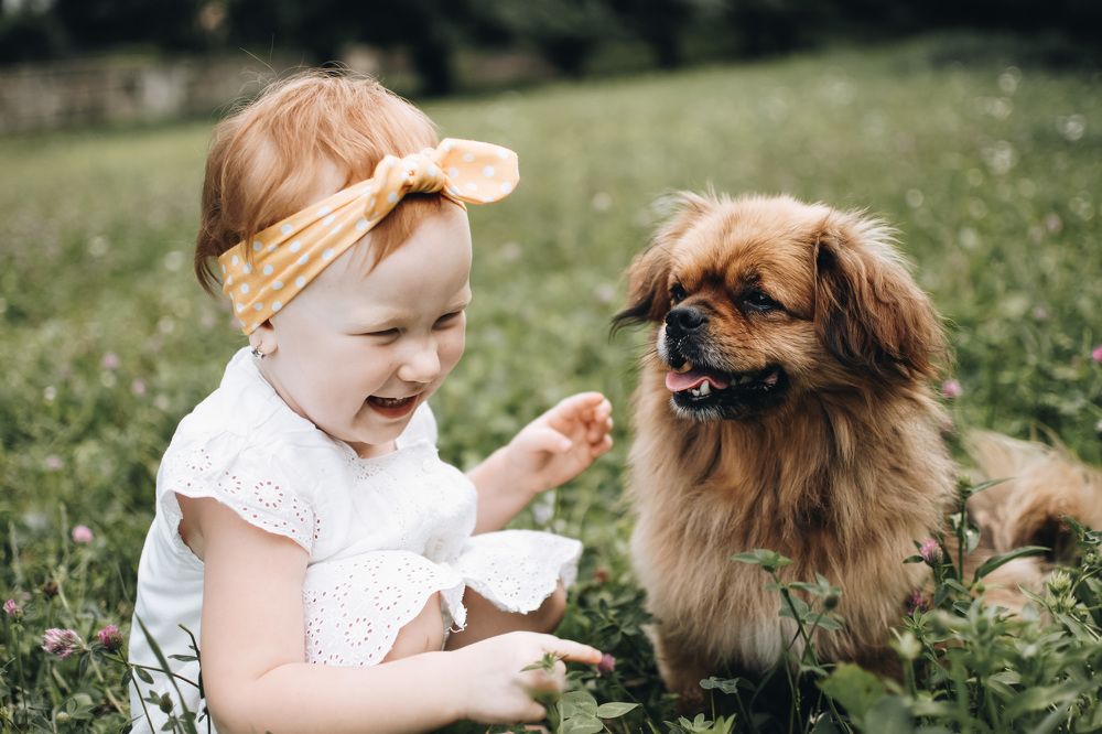 Мой маленький друг