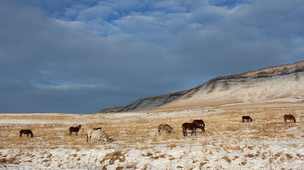 Photograph by Наталья Юрова