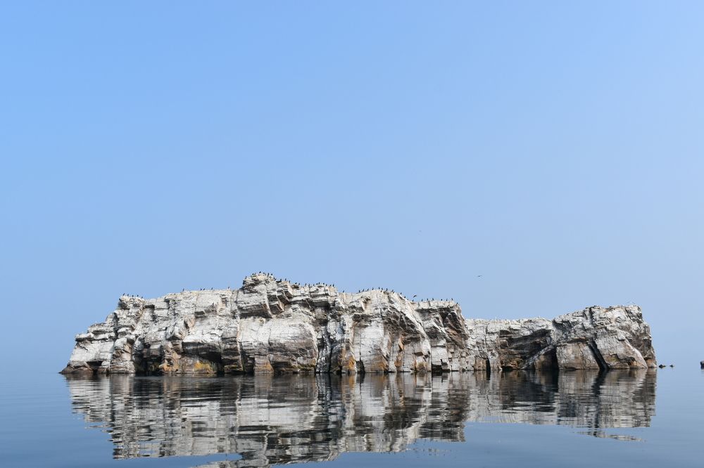 Photograph by Нина