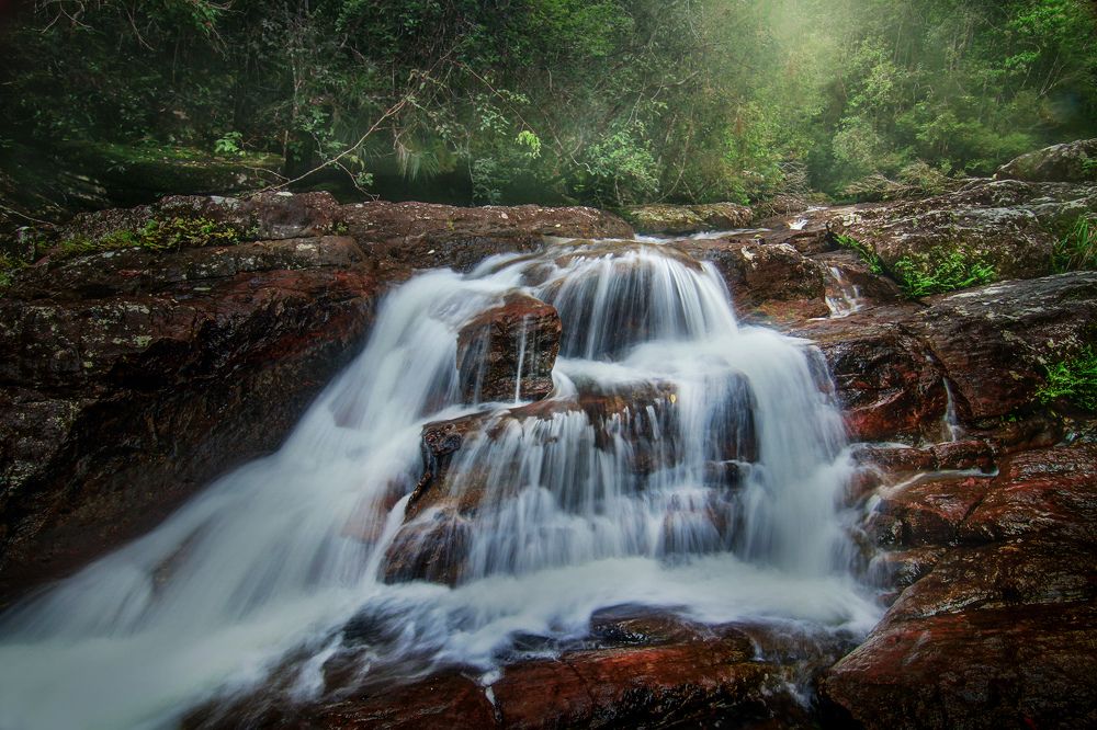 Photograph by Amila Hewagama